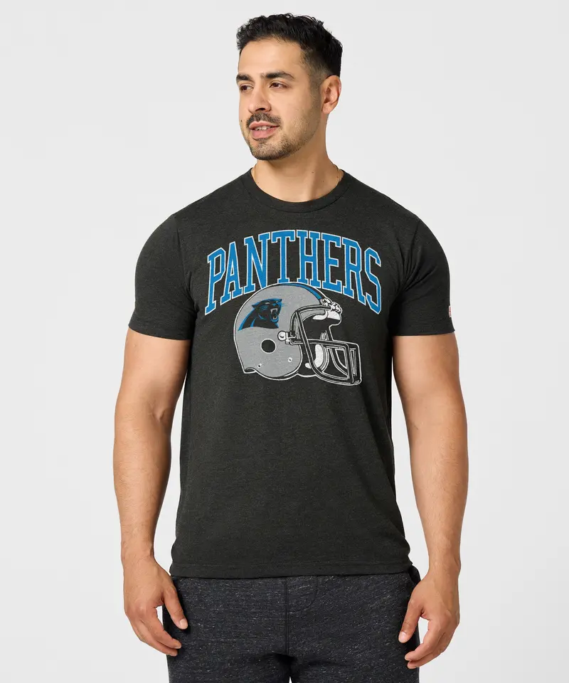 Carolina Panthers Helmet 3