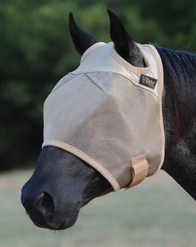 Cashel Standard Econo Fly Mask Without Ears 1