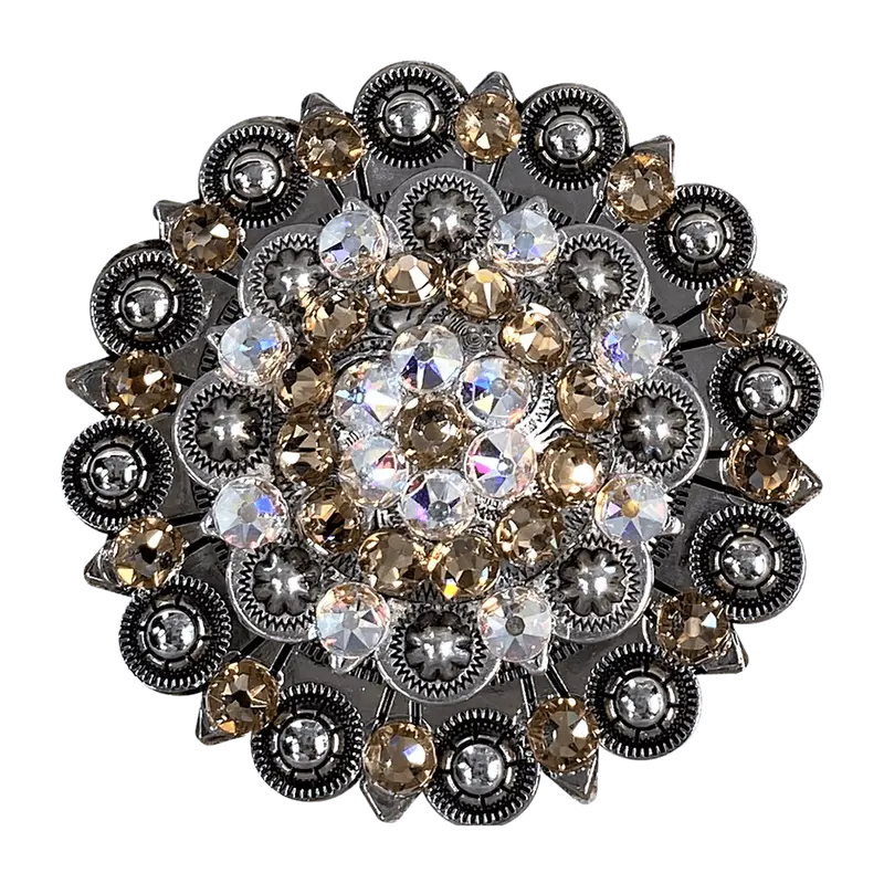 Champagne & Ab Antique Silver Berry Jacket European Crystal Concho 1