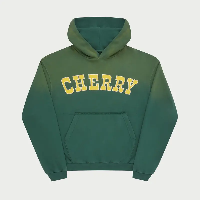 Championship Hoodie 1