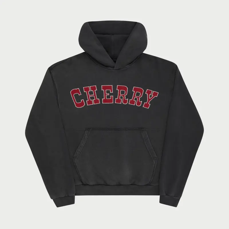 Championship Hoodie 1