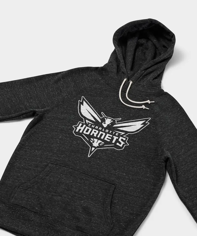 Charlotte Hornets Blacktop Logo Hoodie 2