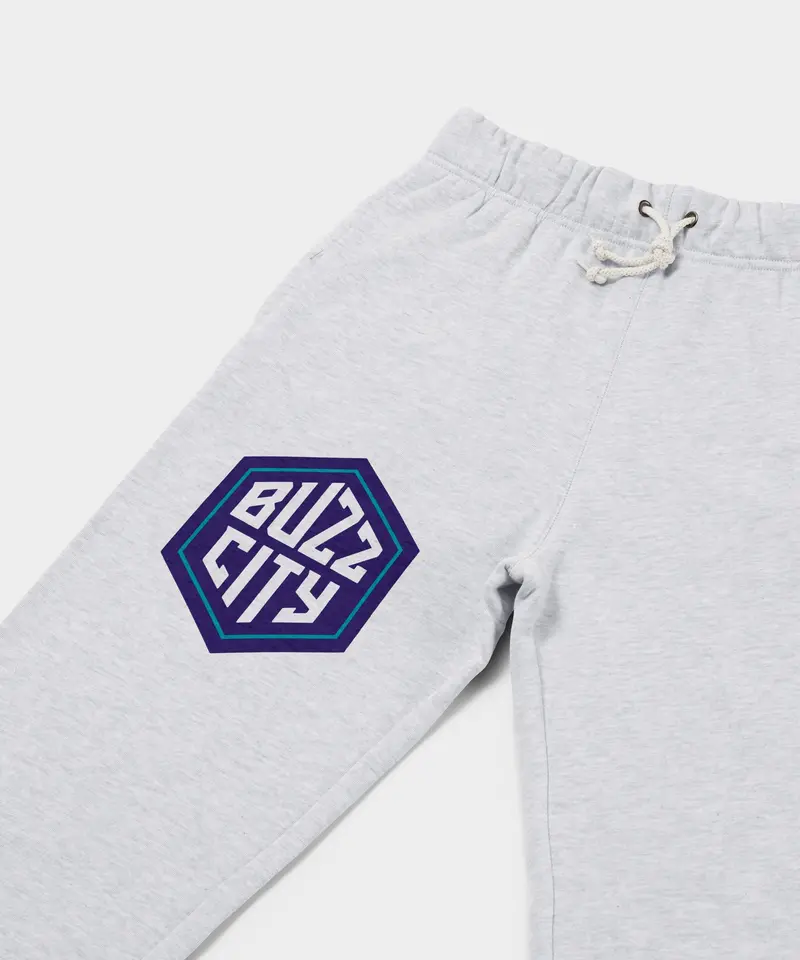 Charlotte Hornets Buzz City Sweatpants 2