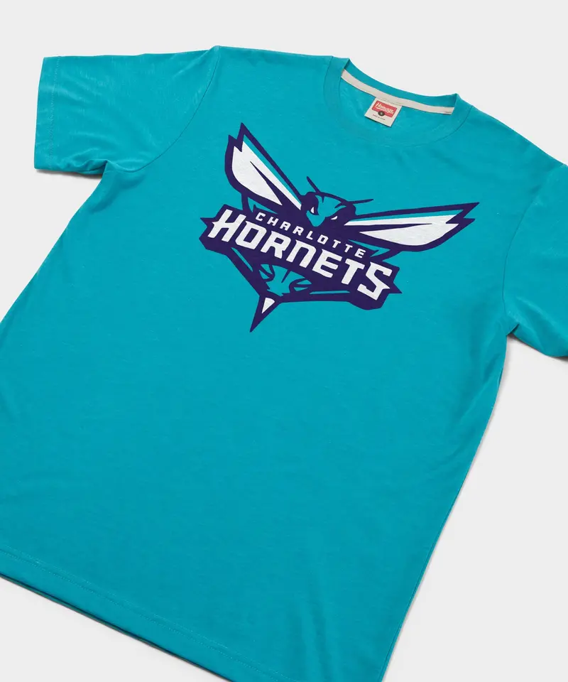 Charlotte Hornets Logo 2