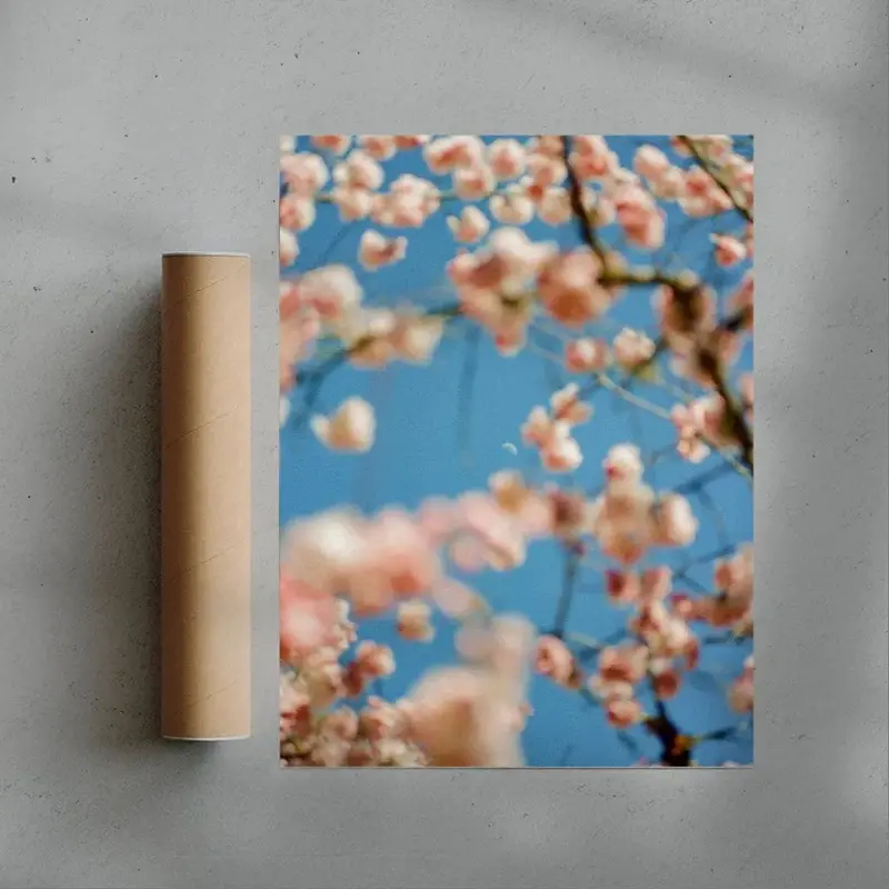 Cherrry Blossom 3