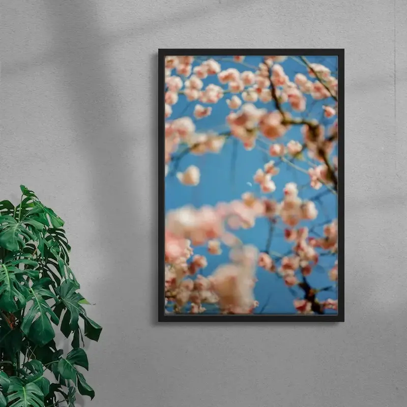 Cherrry Blossom 4