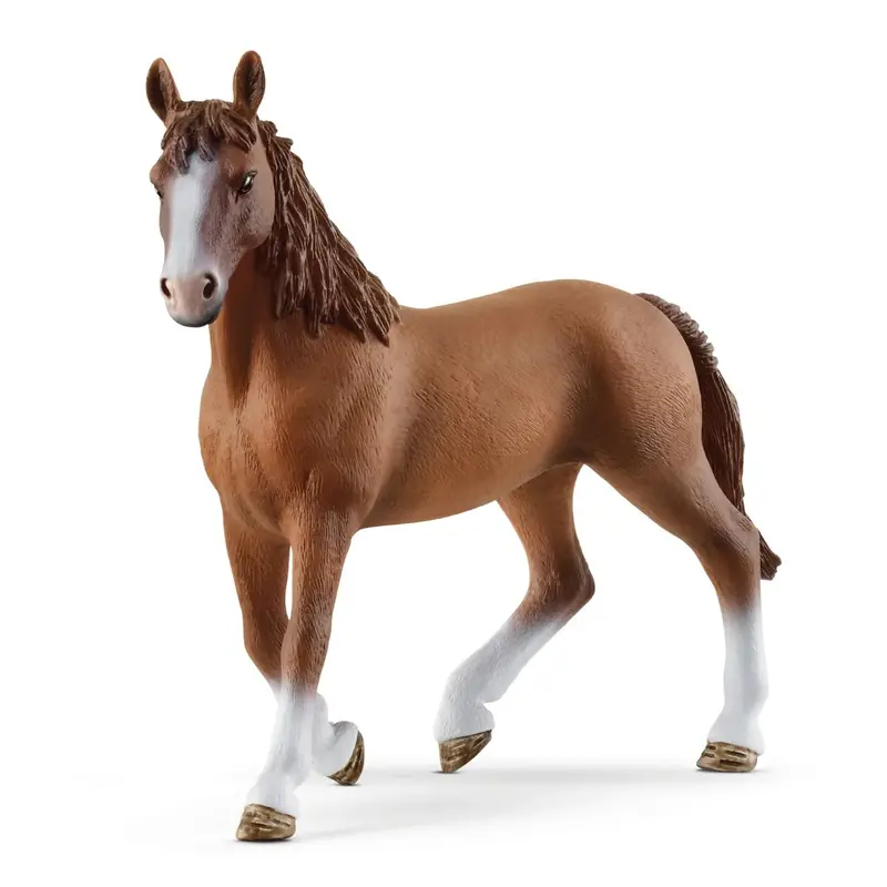 Cheval De Selle Francais Mare 1