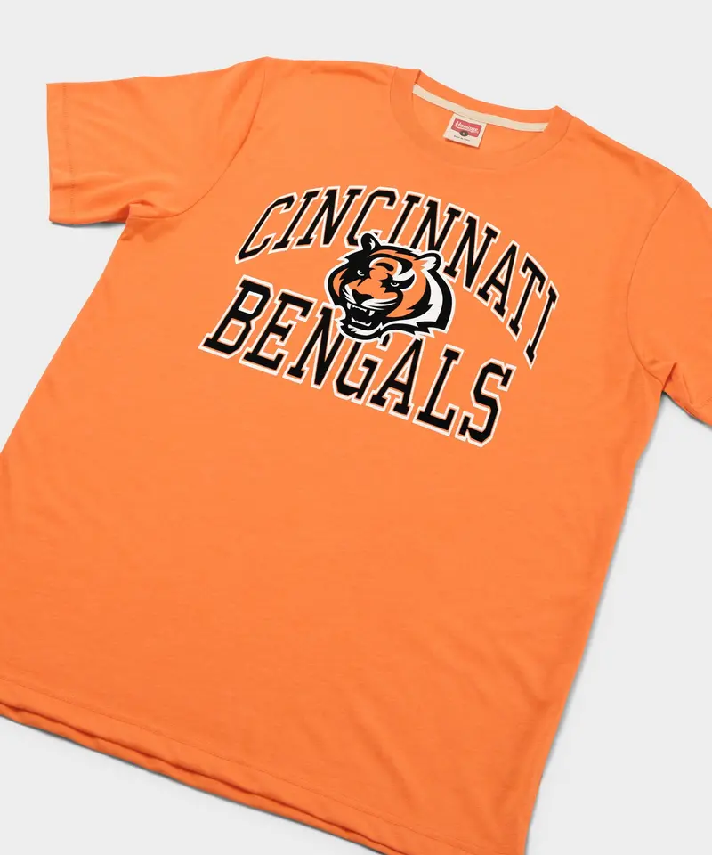 Cincinnati Bengals Arch 2