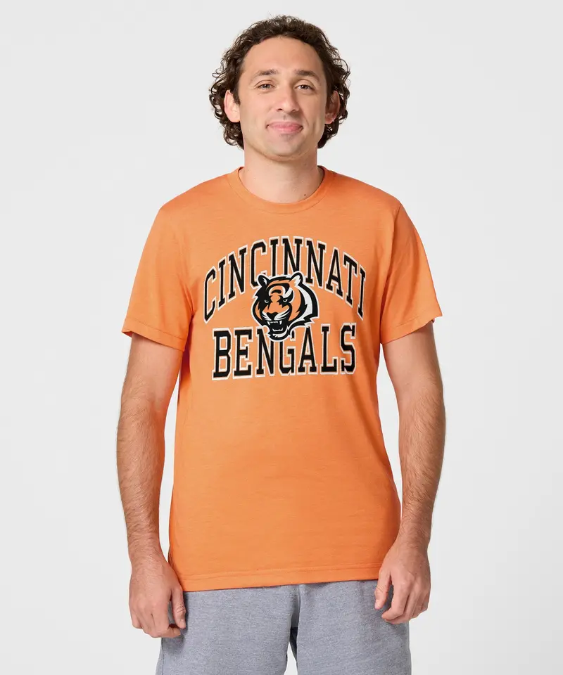 Cincinnati Bengals Arch 3