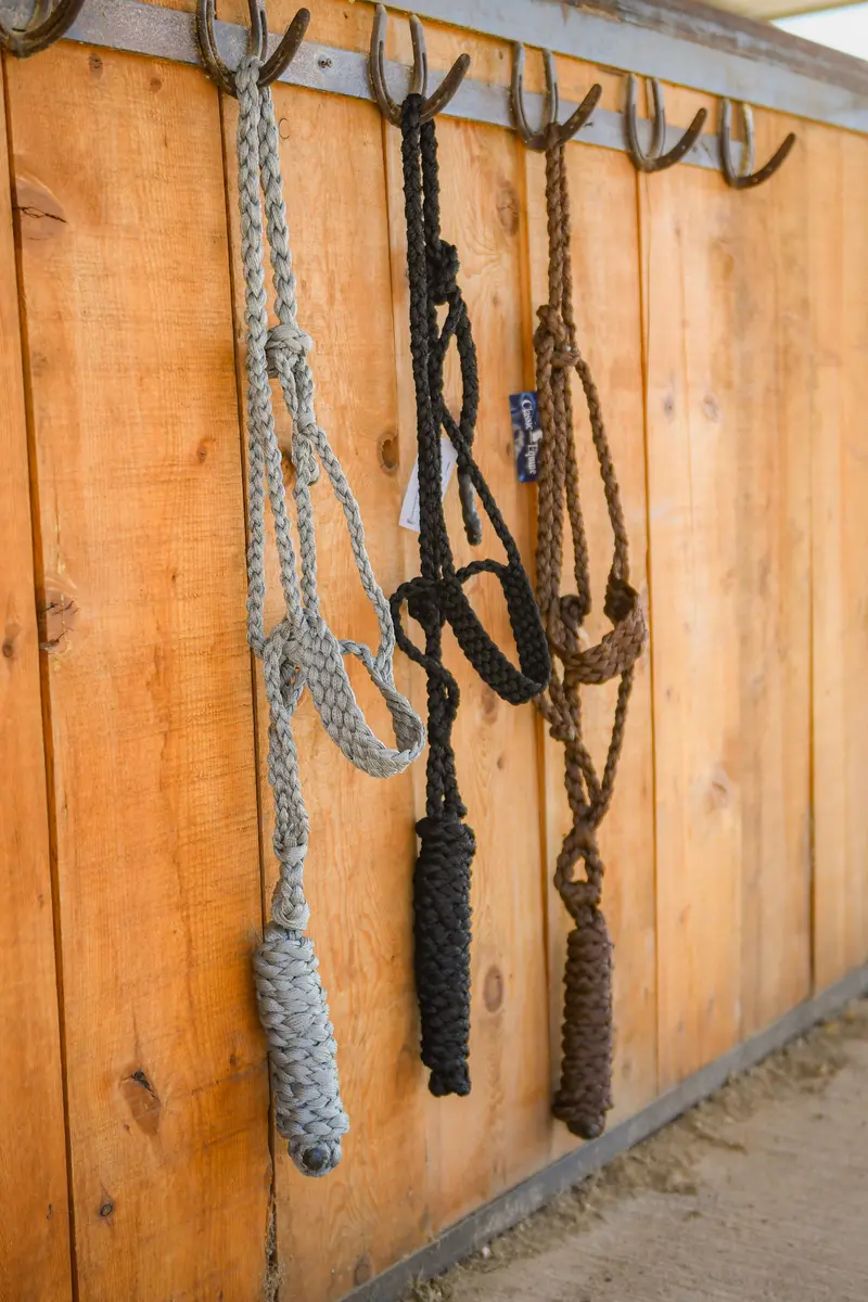 Classic Equine Colored Flat Braid Halter With Lead Rope 1