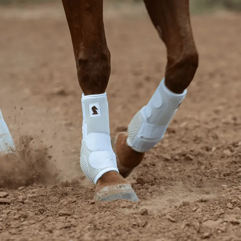Classic Equine Flexion Front Boot 1