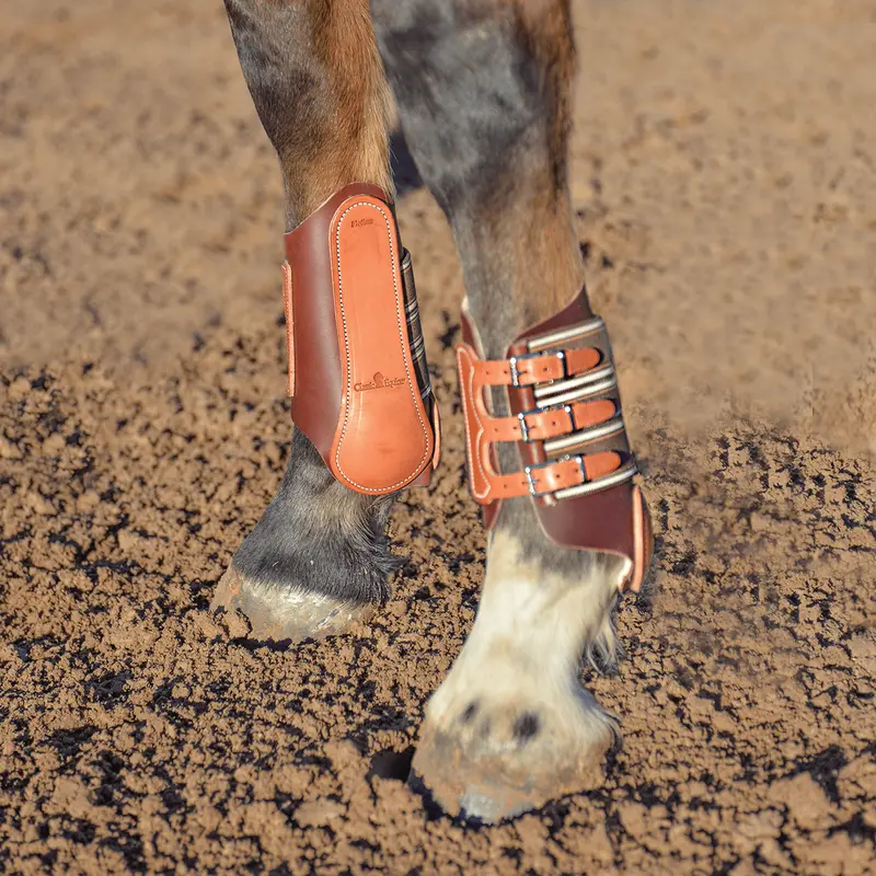 Classic Equine Leather Splint Boots 1
