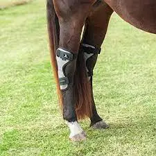 Classic Equine Magntx Hock Wrap 1