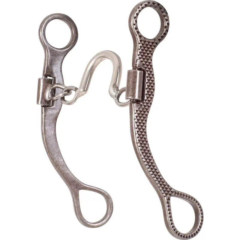 Classic Equine Rasp Straight Shank Bit With Ported Chain 1