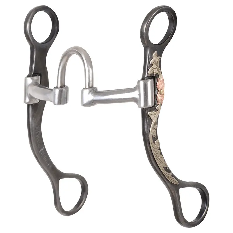 Classis Equine Browned Iron 6" Correction Bit 1