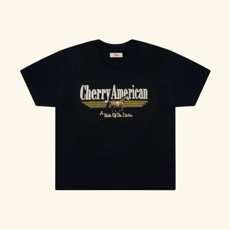 Coast To Coast Boxy T-Shirt (Vintage Black) 1