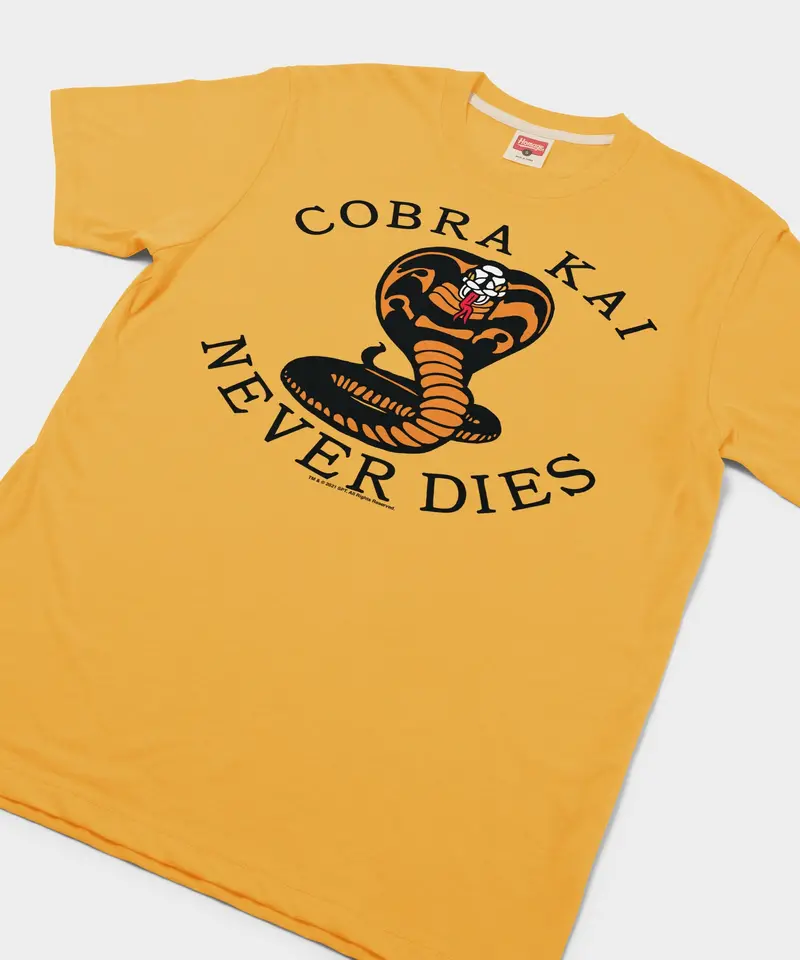 Cobra Kai Never Dies 2