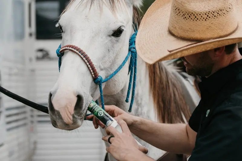 Colic Eaz For Horses 4