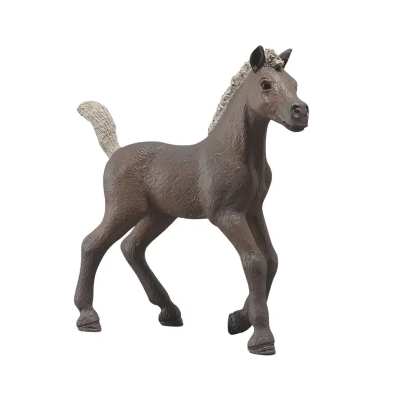 Collectible Foal Darcy 1