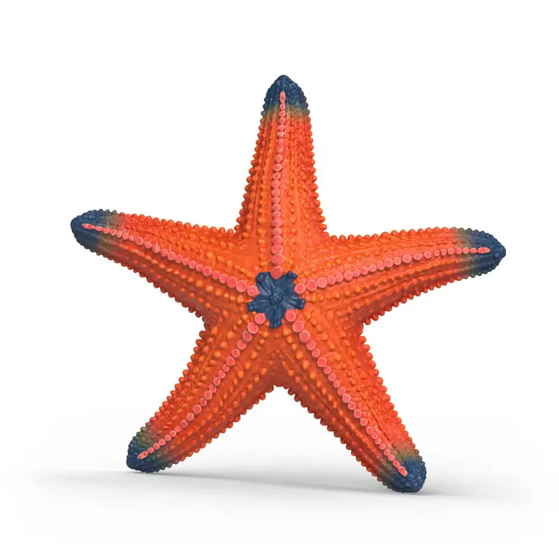 Color Changing Starfish 1