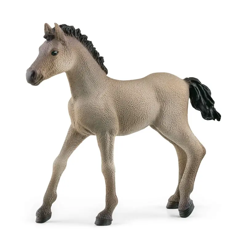 Criollo Definitivo Foal 1