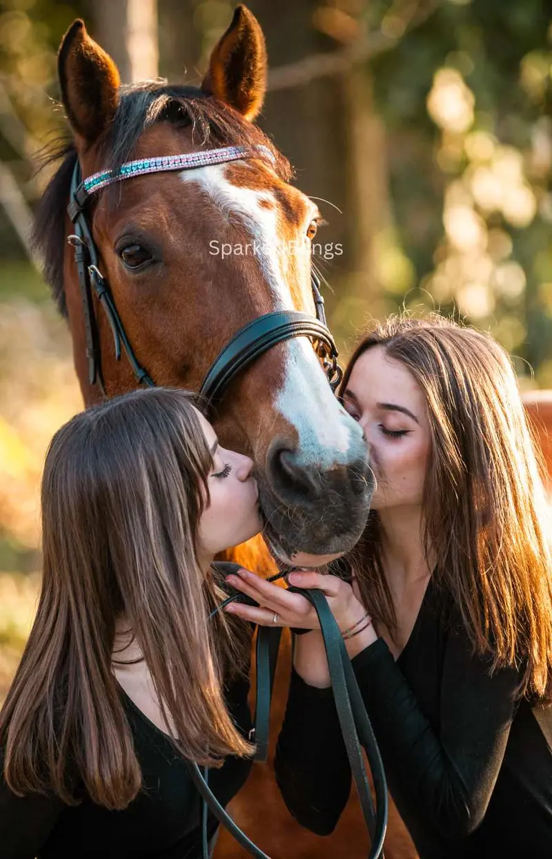 Crystal Browband | Theone U Shape Unicorn Sparkle 3