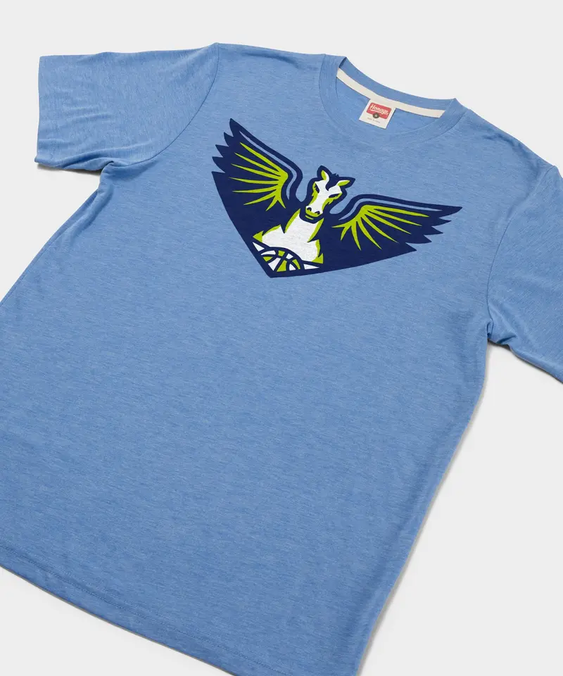 Dallas Wings Logo 2
