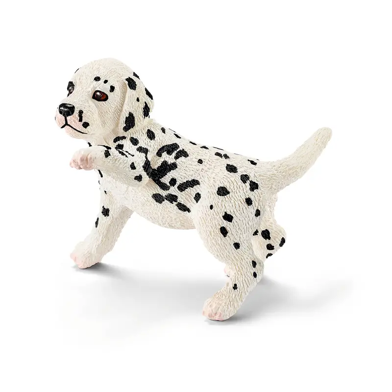 Dalmatian Puppy 1