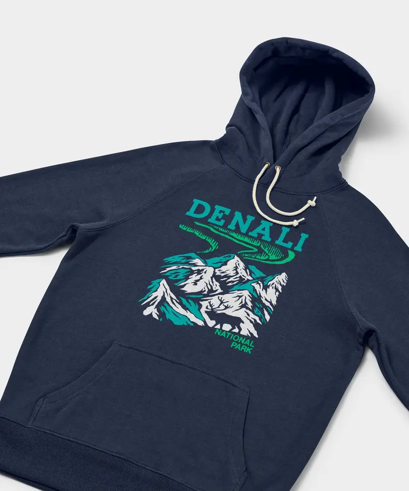 Denali National Park Hoodie 2