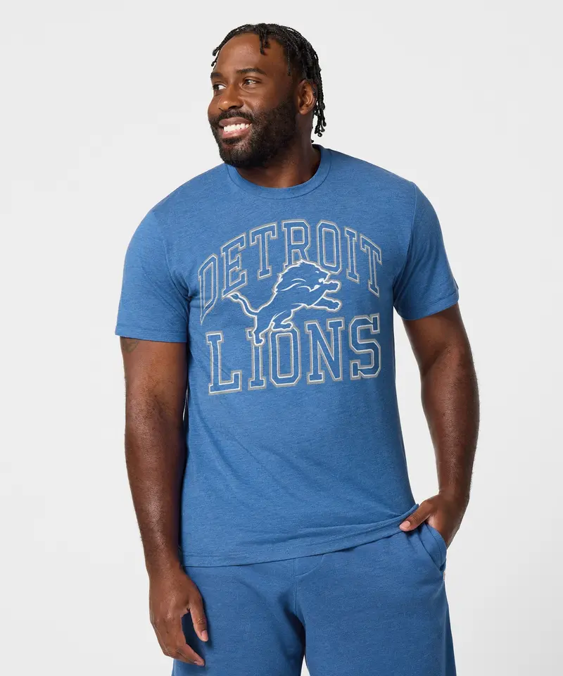 Detroit Lions Arch 3