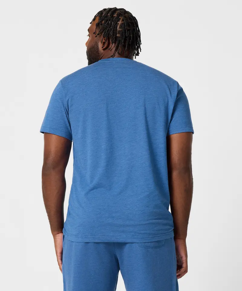 Detroit Lions Arch 4