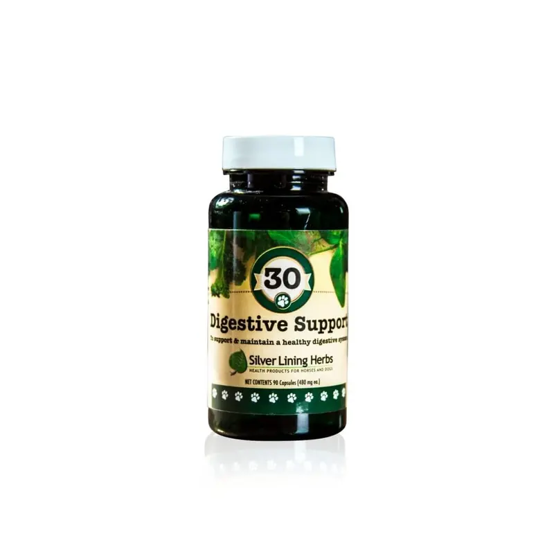 Digestive Support For Canines 1