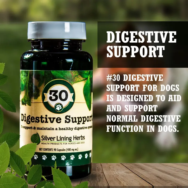 Digestive Support For Canines 2