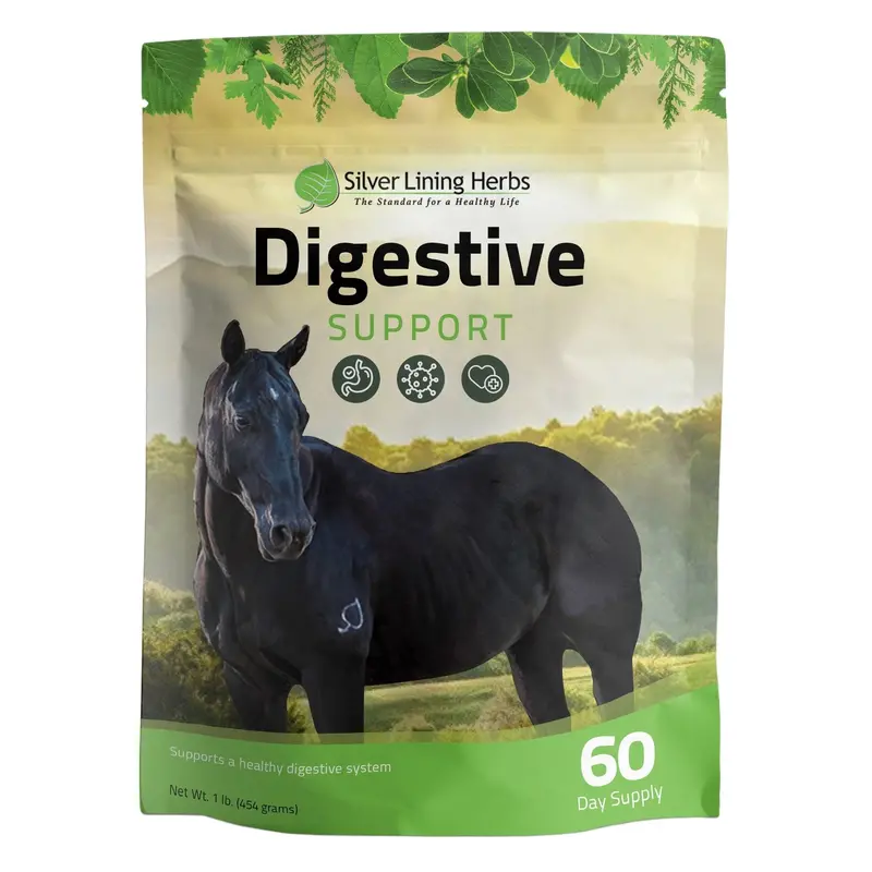 Digestive Support For Horses 1