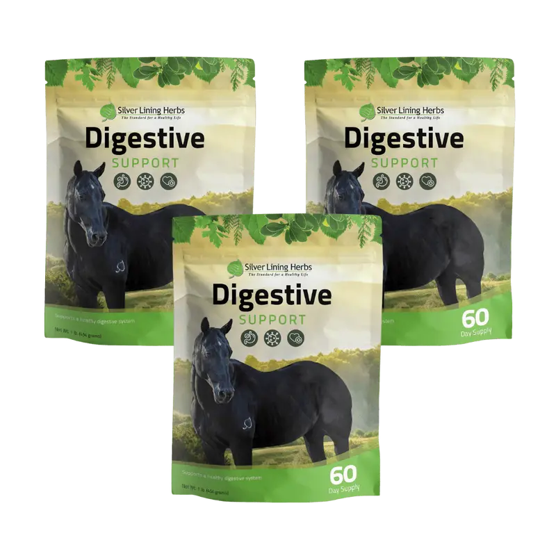 Digestive Support For Horses 2