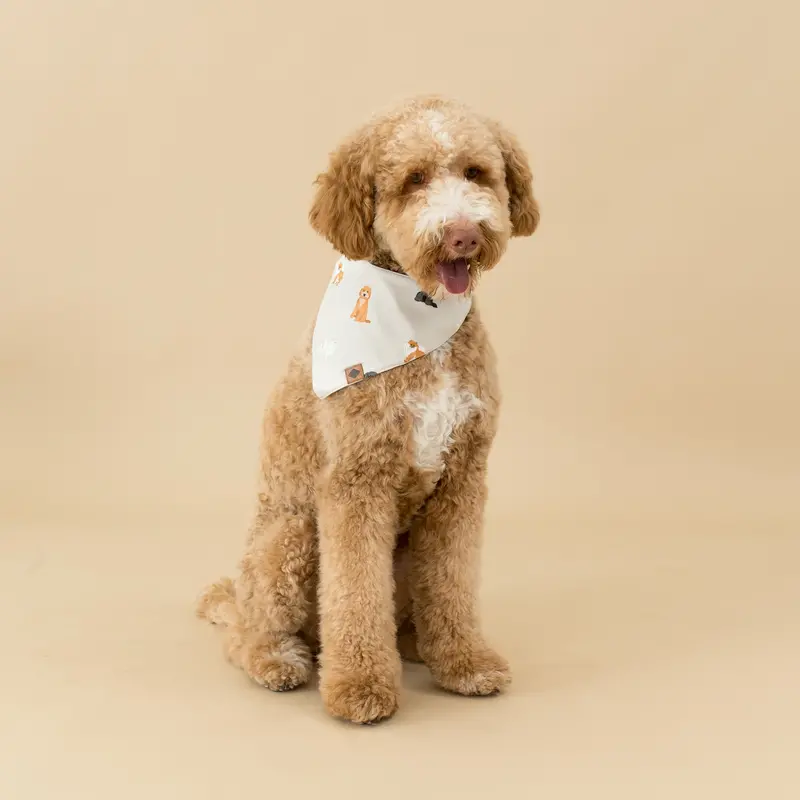 Dog Bandana In Fluffy Dog 1
