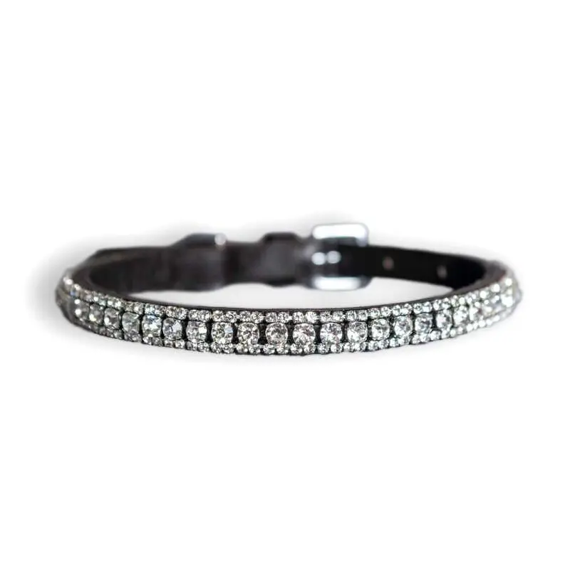 Dog Collars Theone Thin 1