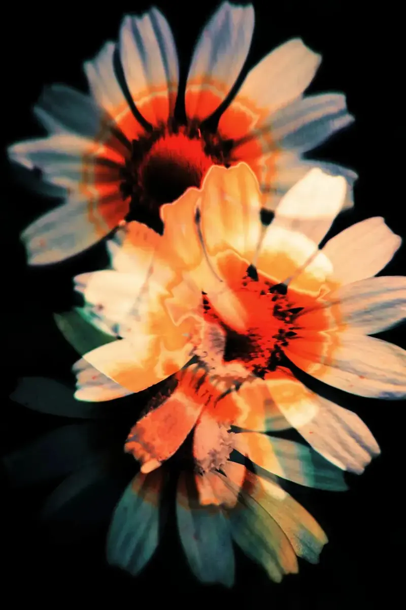 Double Exposure 2