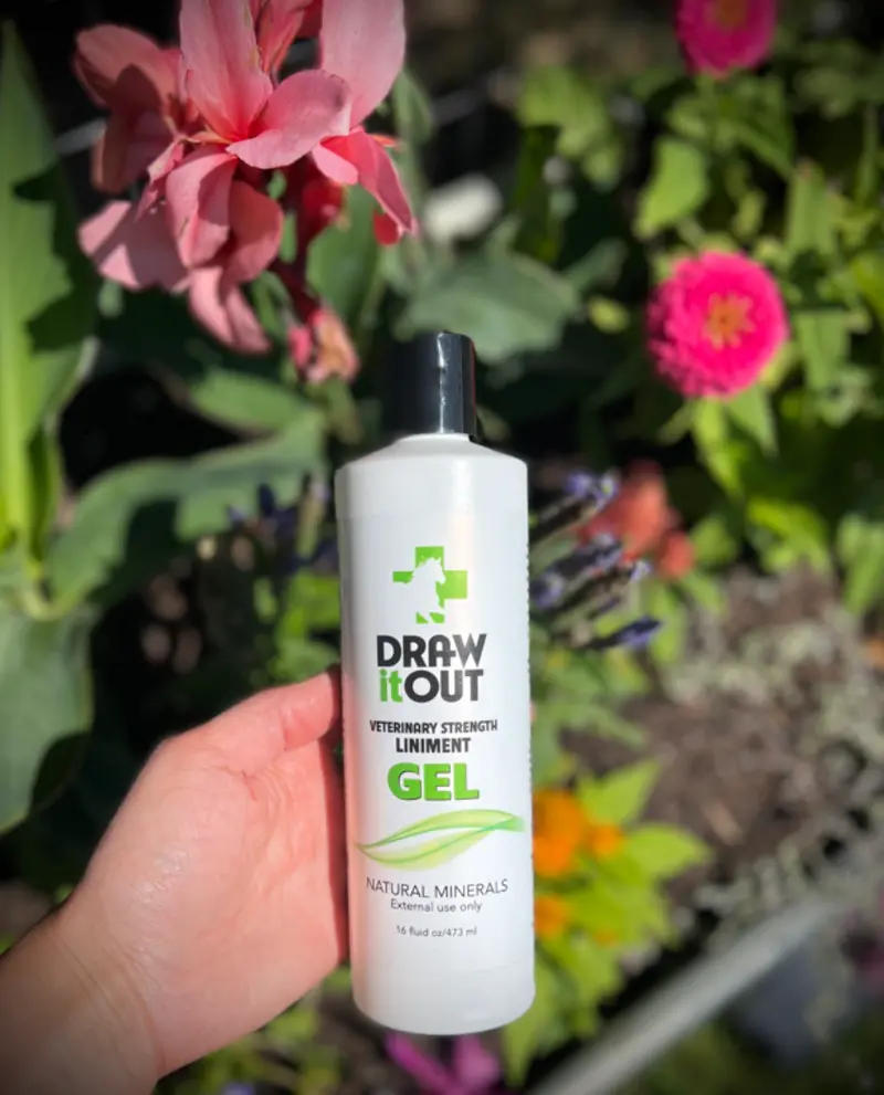 Draw It Out Liniment Gel 16 Oz 1