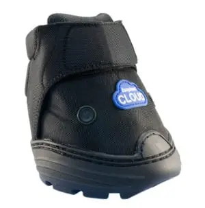 Easycare Cloud Boot 1