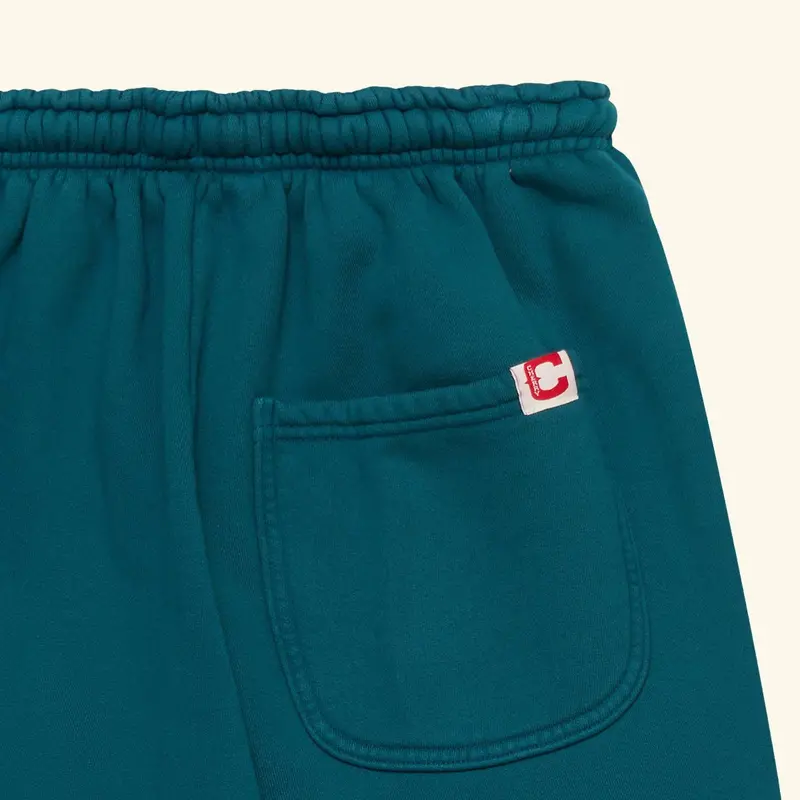 Embroidered Frontier Parachute Sweatpants (Emerald) 6