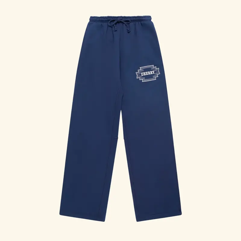 Embroidered Frontier Parachute Sweatpants (Navy) 1