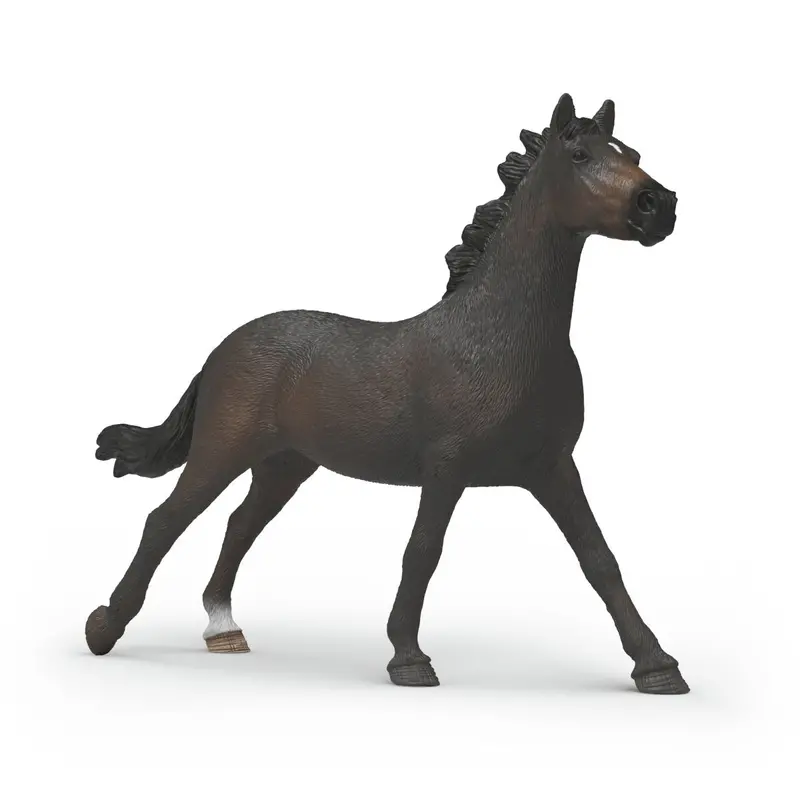 English Thoroughbred Mare 1