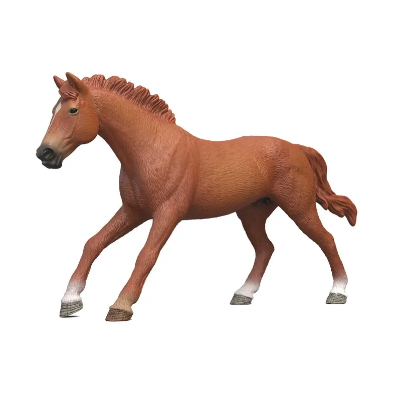 English Thoroughbred Stallion 1