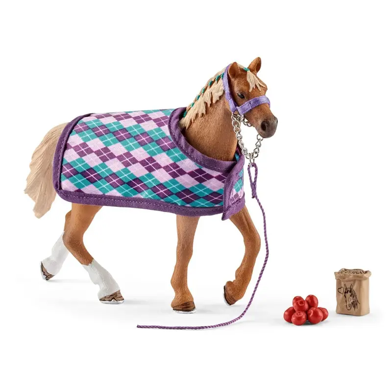 English Thoroughbred With Blanket 1