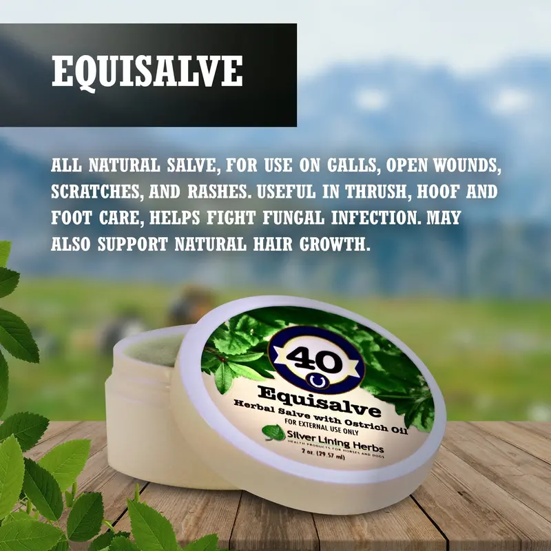 Equisalve For Horses 2