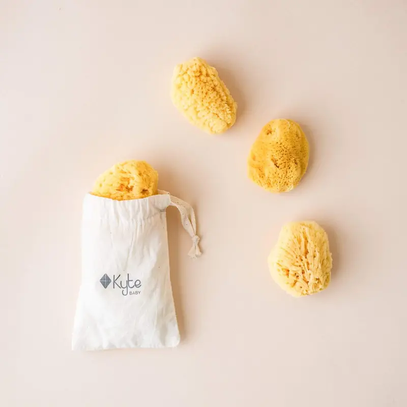 Face Sea Sponge - 4 Pack Bundle 1