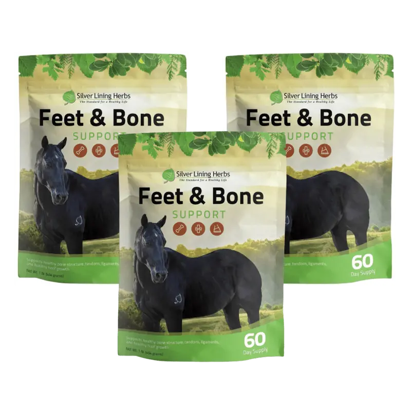 Feet & Bone Support For Horses 2