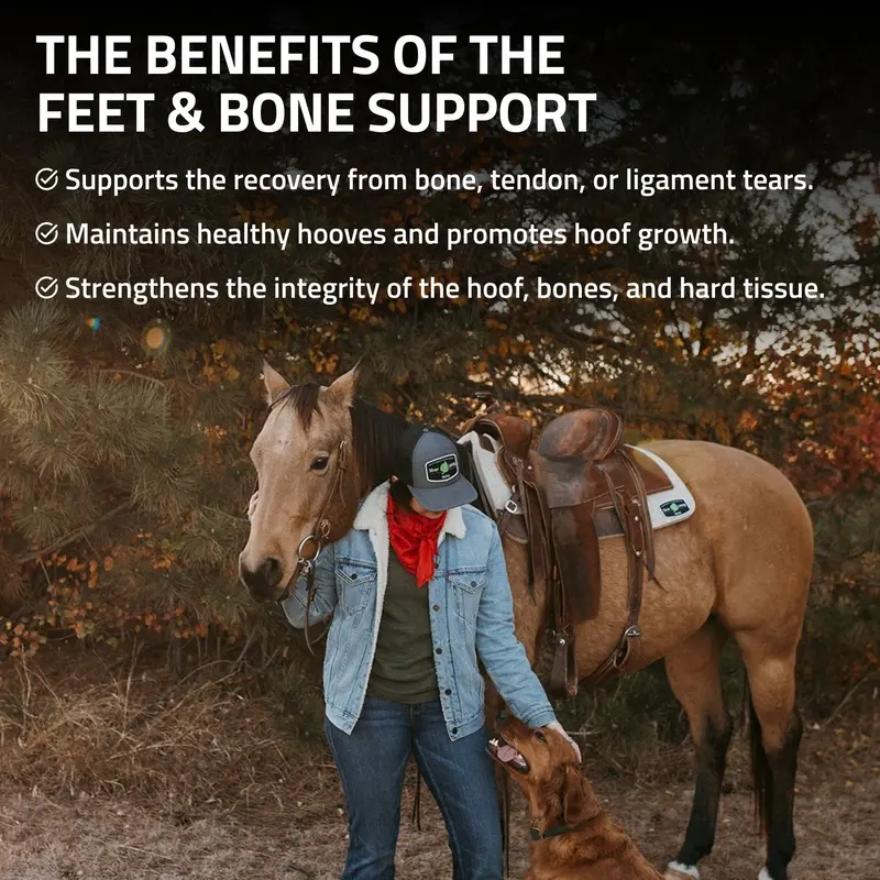 Feet & Bone Support For Horses 3