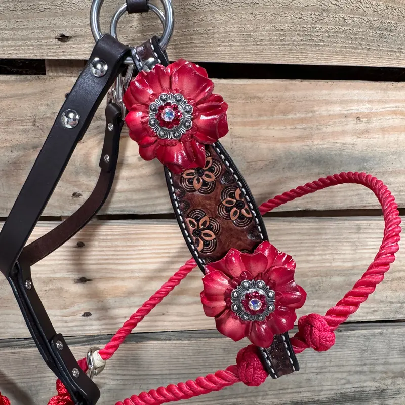 Flower Power Lariat & Leather Combo Halter #Lh112 2